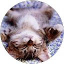 Elisa profile picture